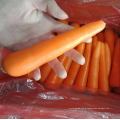 China new season fresh carrot S/M, 80-200g red carrot export